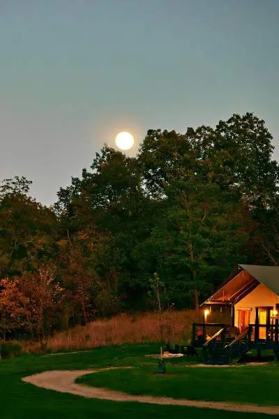 House and trees