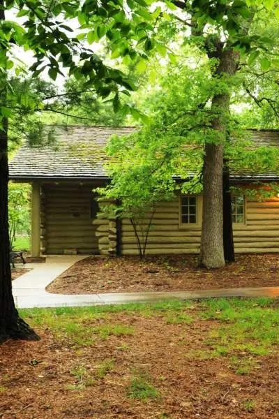 A log cabins among the trees