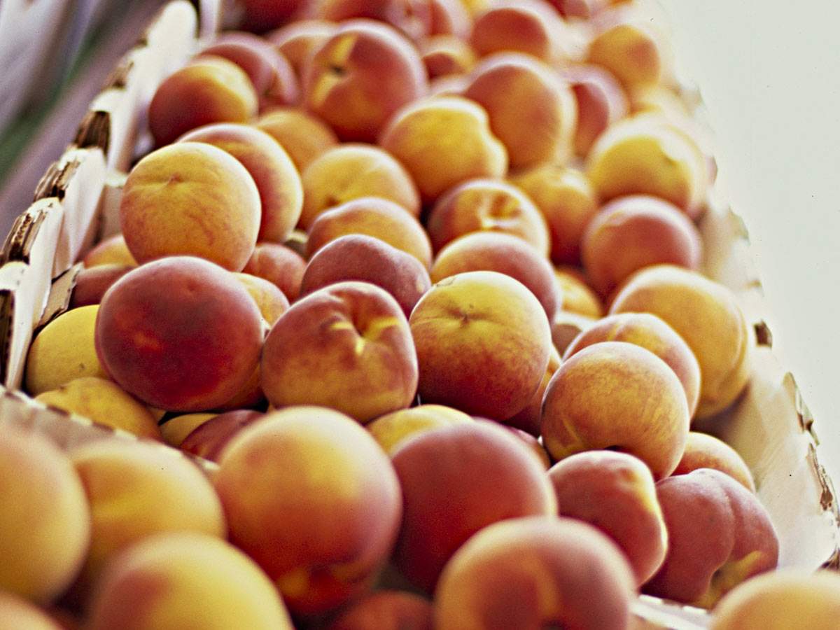 Peaches at the Peach Festival Cobden.