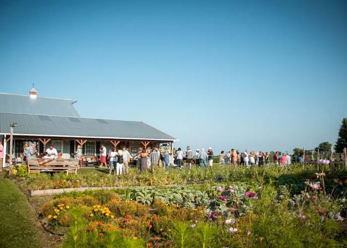 People Gathered chatting and drinking outside the farm house