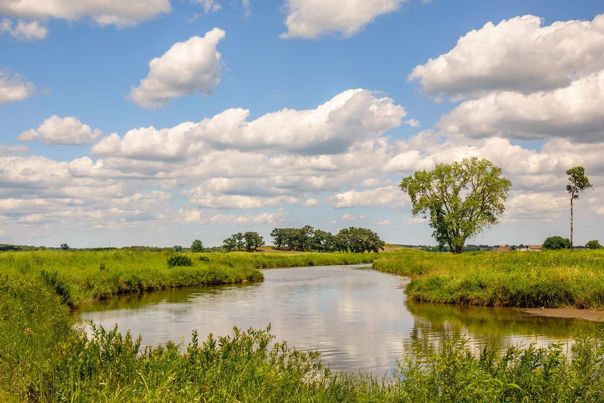 Nippersink Creek in McHenry's Glacial Park