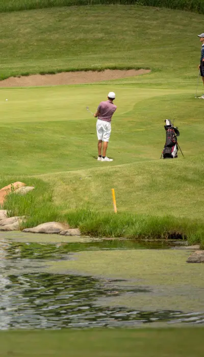 people playing golf