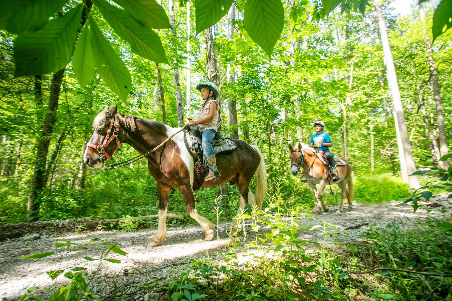 Horse riding down a trail 