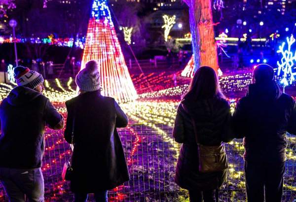 People looking at the light displays at lincoln park zoo