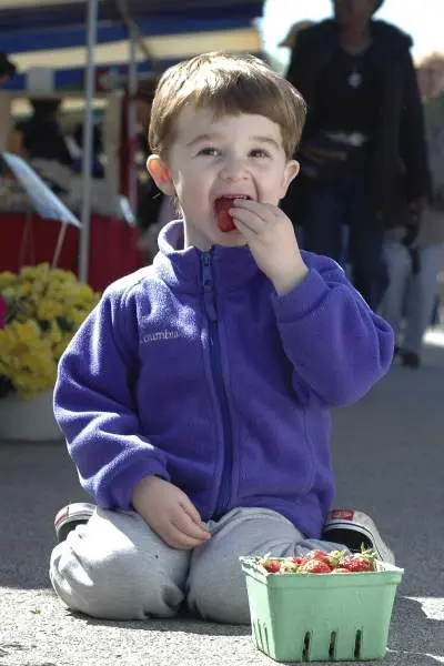 A boy eats strawberries at an Illinois market